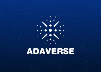 Cardano 回望 2022 年度，硬分叉升級、Indigo 協議將成今年「鑽石亮點」？