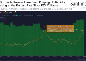 BTC失守2.3萬鎂！數據：散戶自漲破2萬後陷入FOMO，新增62萬新地址