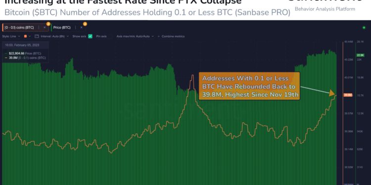 BTC失守2.3萬鎂！數據：散戶自漲破2萬後陷入FOMO，新增62萬新地址