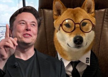 馬斯克公布推特新CEO「是條狗」，雙狗幣DOGE、FLOKI 暴漲45%