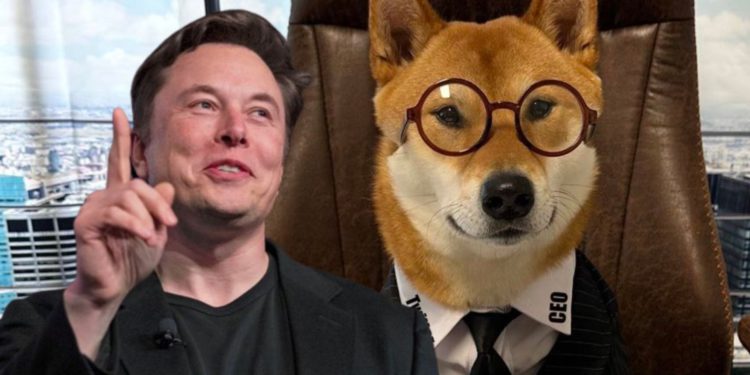 馬斯克公布推特新CEO「是條狗」，雙狗幣DOGE、FLOKI 暴漲45%