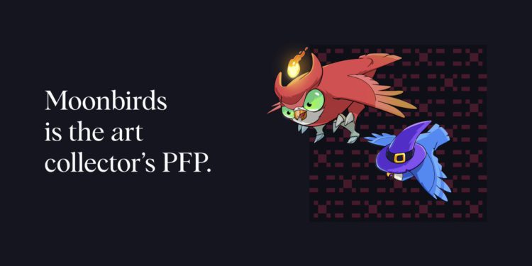 FqPw46oaUAAdG4T | 動區動趨-最具影響力的區塊鏈新聞媒體 Moonbird整合》PROOF持有者將轉為「Moonbirds Elders」,未來將推生態代幣