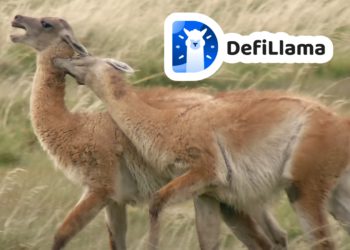 DeFiLlama 創辦人想發幣！核心開發者怒分叉新協議；Andre Cronje：沒代幣將財務困難