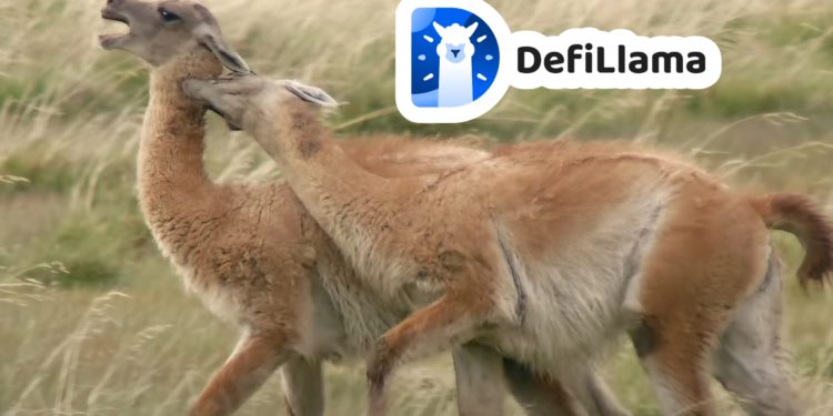 DeFiLlama 創辦人想發幣！核心開發者怒分叉新協議；Andre Cronje：沒代幣將財務困難