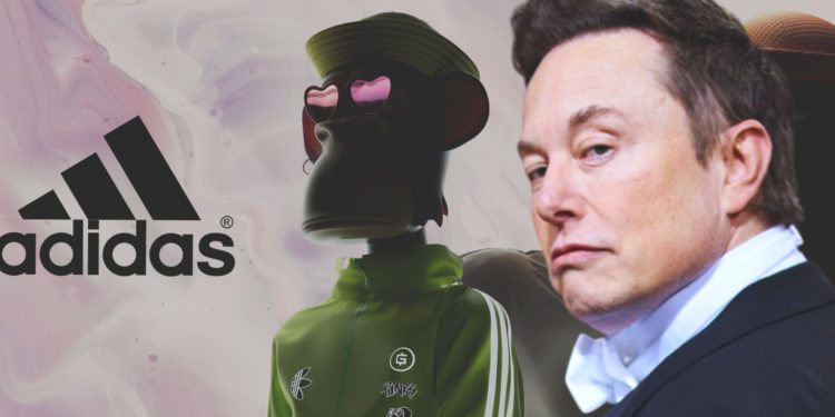 未命名設計 21 | 動區動趨-最具影響力的區塊鏈新聞媒體 馬斯克是先知!愛迪達Web3負責人:他挺「比特幣支付」啟發了adidas老人高層