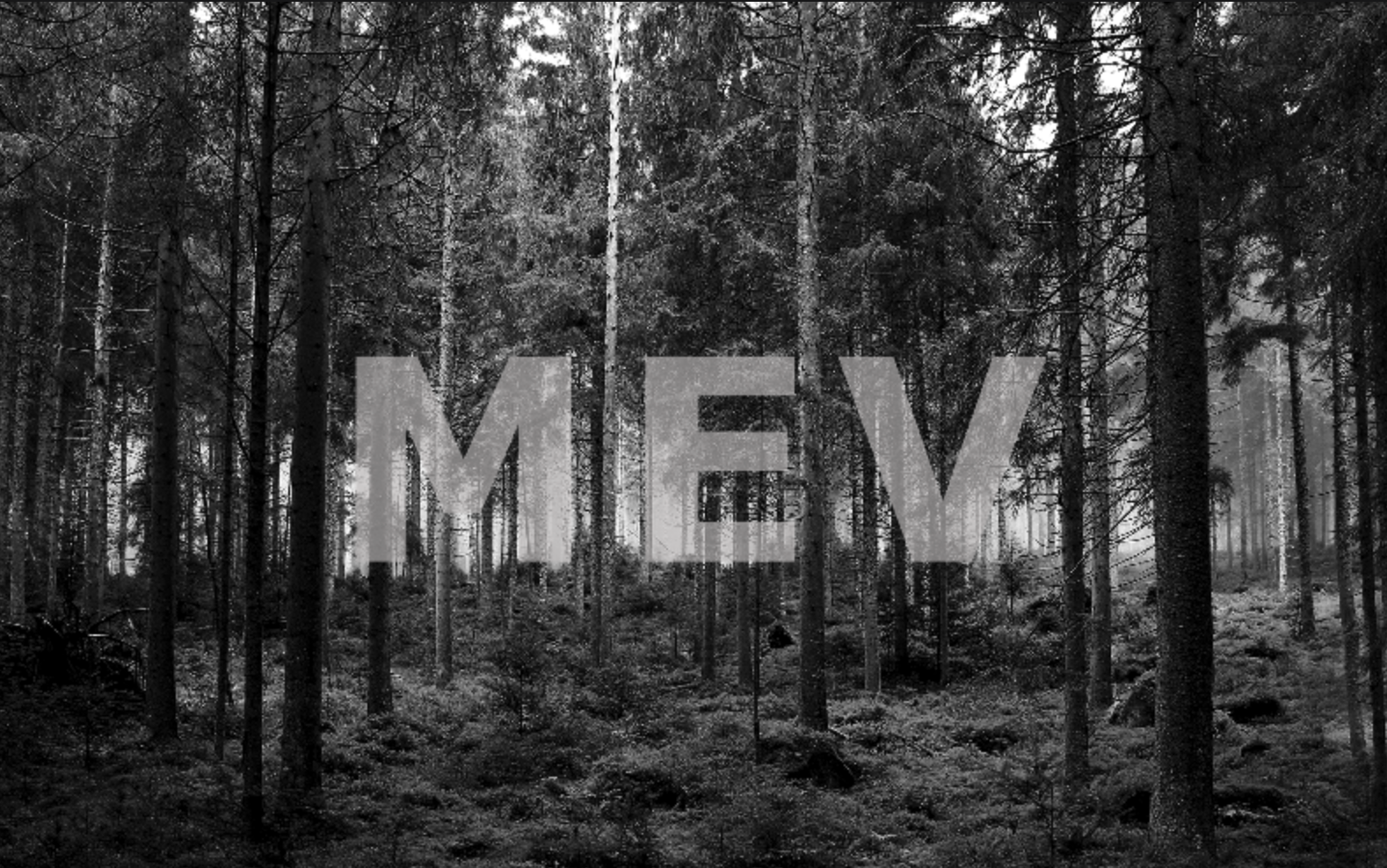 圖解MEV全賽道：黑暗森林的3個版圖| 動區動趨-最具影響力的區塊鏈新聞媒體