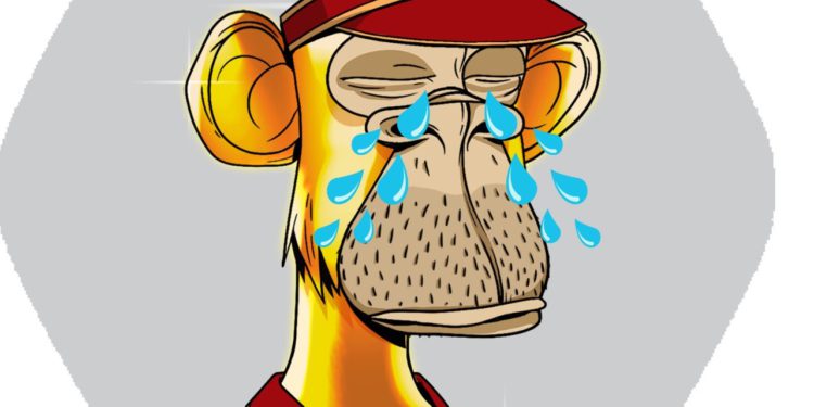 為何BAYC跌破55 ETH？NFT巨鯨慘遭Rug pull，拋賣27隻無聊猿