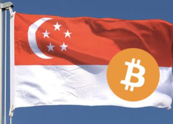 調查：超40%新加坡人持有加密貨幣！近半數每月投資1000美元