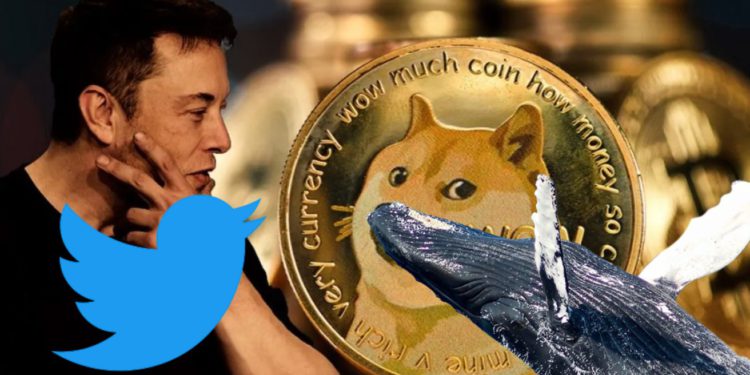狗狗幣海嘯警報》第5大巨鯨7天內轉出「1.36億美元DOGE」！或砸盤套現