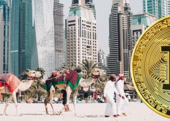 阿聯酋開放申請「交易所VASP牌照」！所有加密服務平台須領牌營運