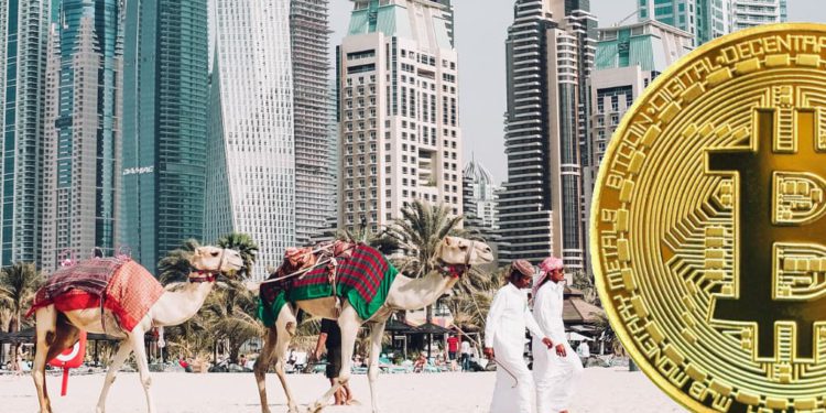 截圖 2023-04-18 下午61720 | 動區動趨-最具影響力的區塊鏈新聞媒體 阿聯酋開放申請「交易所VASP牌照」!所有加密服務平台須領牌營運