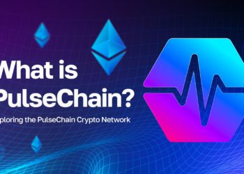 行銷鬼才Richard再創業，PulseChain為何能一週5億鎂TVL