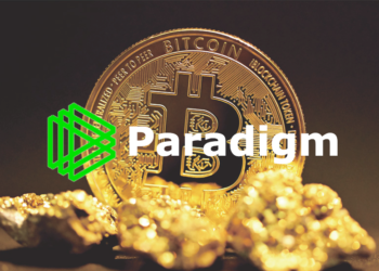 Paradigm報告：「真正的數位時代」加密貨幣是不可缺存在
