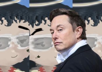 馬斯克貼出大眼萌妹Milady！NFT 地板價暴漲 130％、$LADYS 翻超 23 倍