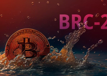 社群爆紅的 BRC-20 生態，還值得投資嗎？