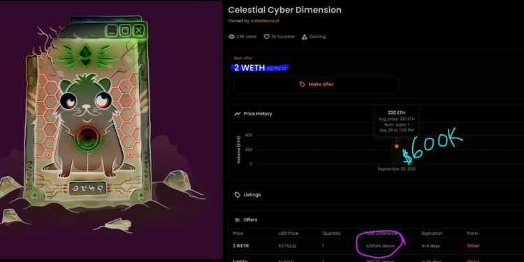 NFT浮虧王！Nate Alex用60萬買下的謎戀貓，現價剩3,752美元