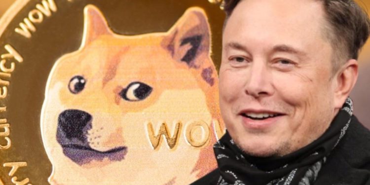 「狗狗幣教父」馬斯克奉勸：不要將身家全押 DOGE 上