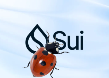 SUI 遭爆3月秘密修復「十億美元安全漏洞」，可讓駭客閃電貸攻擊..