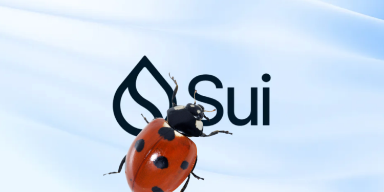 image - 2023-05-17T062445407 | 動區動趨-最具影響力的區塊鏈新聞媒體 SUI 遭爆3月秘密修復「十億美元安全漏洞」,可讓駭客閃電貸攻擊..