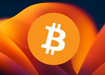 分析師：比特幣將進入「積極看漲」牛市初期，是買BTC最佳時機