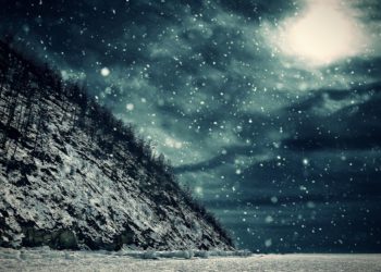 崩潰、逃離、狂熱，那些「渡過加密寒冬」的投資人，是如何取暖的？