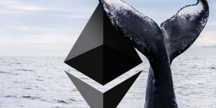 photo_ouigeiue39324 | 動區動趨-最具影響力的區塊鏈新聞媒體 「逃頂大師」以太坊基金會賣幣、PePe 20天30倍, 集齊兩個頂部訊號?