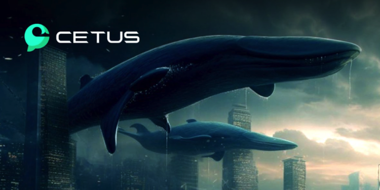 截圖 2023-05-04 下午32644 | 動區動趨-最具影響力的區塊鏈新聞媒體 Cetus:一文解讀同時上鏈 Sui、Aptos 的高效流動性協議