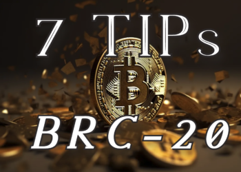 下定決心投資BRC-20？給新手玩家的7個建議