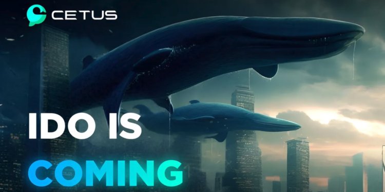 Sui生態》$Cetus代幣Launchpad「超募66倍」，幣安SUI借款年化率達-327%