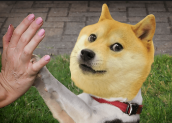 3年老鳥傳授！玩迷因幣、追土狗必備9個鏈上工具