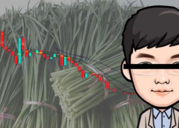 中國KOL發迷因幣「收割粉絲」，開盤暴跌94%爽撈150E