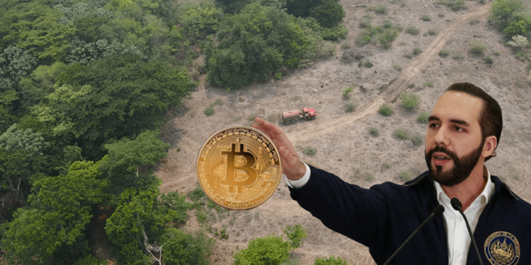 86786767867867868767 1 | 動區動趨-最具影響力的區塊鏈新聞媒體 薩爾瓦多開挖「比特幣之城機場」,總造價達3.5億鎂、由火山地熱供電