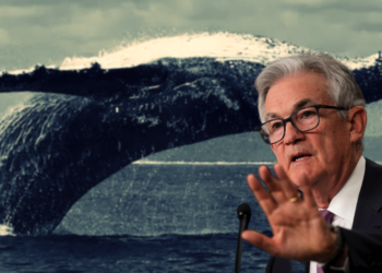 巨鯨被宰！錯邊買超8,500萬鎂ETH看漲期權，全網爆倉1.46億鎂