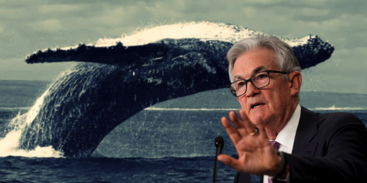 巨鯨被宰！錯邊買超8,500萬鎂ETH看漲期權，全網爆倉1.46億鎂