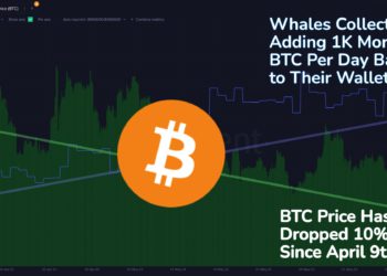 比特幣巨鯨不畏崩盤，每天增持 1000 枚 BTC，反彈將至？