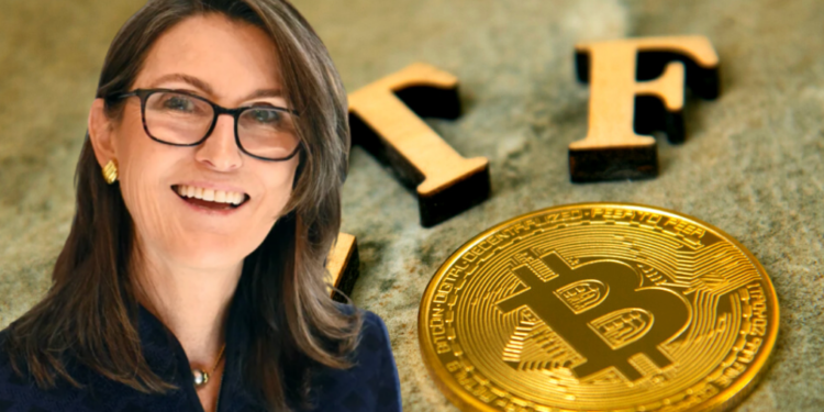 方舟基金搶先貝萊德：有望8月獲SEC批準比特幣現貨ETF