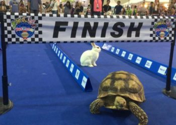 Uniswap V4 帶來的終極問題：DEX能超越CEX嗎？