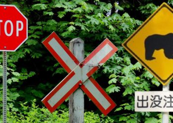 a16z稱「鏈上活躍地址」創新高，是真的嗎？