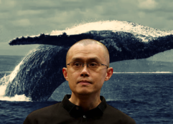 趁加密貨幣暴跌！SEC起訴幣安後，機構、巨鯨和聰明錢展開抄底