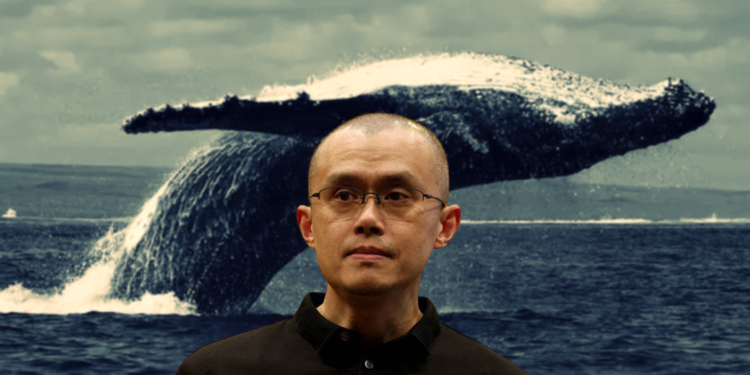 趁加密貨幣暴跌！SEC起訴幣安後，機構、巨鯨和聰明錢展開抄底