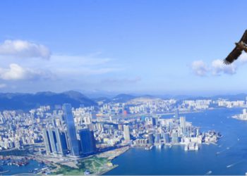 香港VASP牌照大考，哪間加密公司能成拿牌幸運兒？