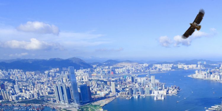 未命名設計 31 | 動區動趨-最具影響力的區塊鏈新聞媒體 香港VASP牌照大考,哪間加密公司能成拿牌幸運兒?