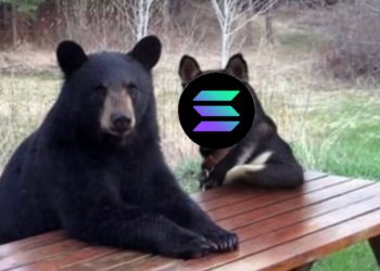 Solana兼容EVM，是熊市團結開發者的唯一解出路？