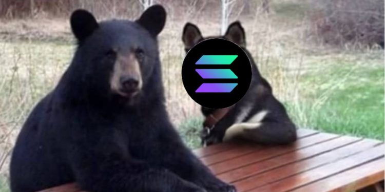 5847 | 動區動趨-最具影響力的區塊鏈新聞媒體 Solana兼容EVM,是熊市團結開發者的唯一解出路?