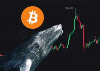 比特幣衝高3.1萬後急墜！巨鯨三週已吸籌7.1萬枚BTC