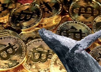 大波動預警》巨鯨流入交易所BTC創今年新高！比特幣力守2.9萬