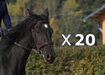 20個「黑馬」專案，可望在下輪牛市大爆發