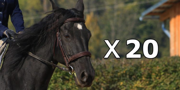 x20 | 動區動趨-最具影響力的區塊鏈新聞媒體 20個「黑馬」專案,可望在下輪牛市大爆發