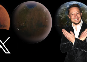 馬斯克放走藍鳥改名X能翻身？彭博：品牌價值恐損失200億鎂