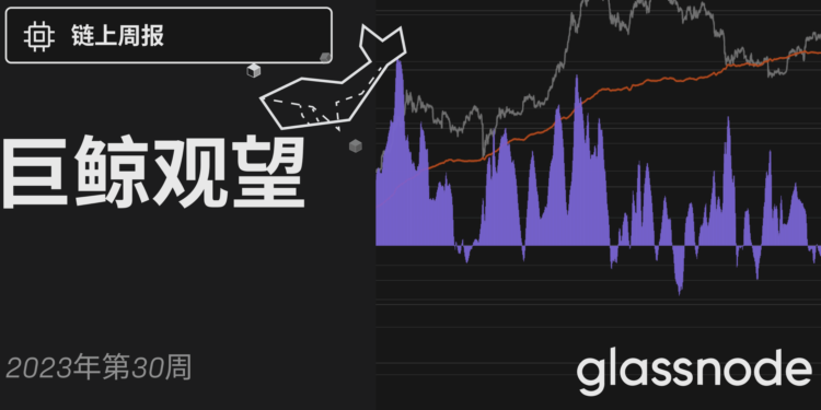 Glassnode鏈上週報：巨鯨觀望、籌碼洗牌